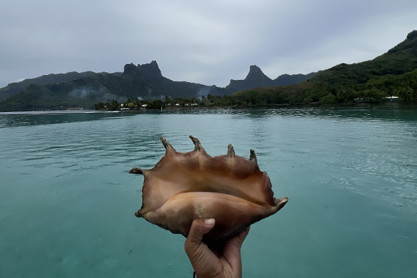 Tour Lagon 'Au