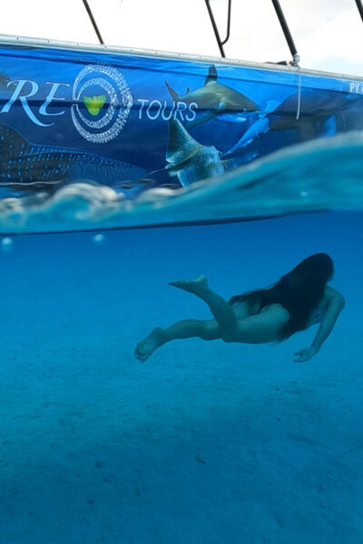 Moorea Reo Tours Lagon Au Snorkeling Privé